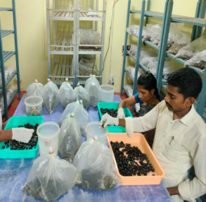 Research & Development